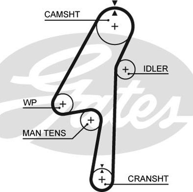Gates 5580XS - Οδοντωτός ιμάντας www.parts5.com