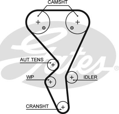 Gates 5581XS - Timing Belt www.parts5.com