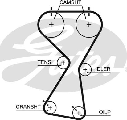 Gates 5534XS - Timing Belt www.parts5.com
