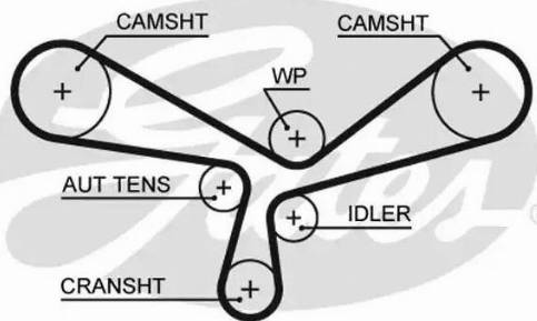 Gates 5520XS - Timing Belt www.parts5.com