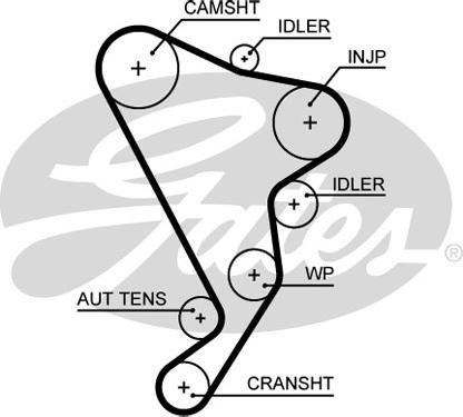 Gates 5661XS - Triger kayışı www.parts5.com