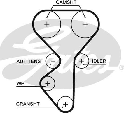 Gates 5631XS - Timing Belt www.parts5.com