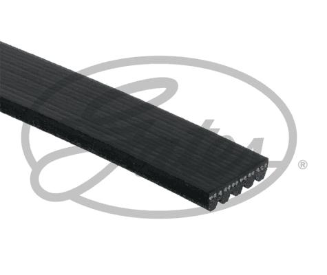 Gates 58816 - Correa trapecial poli V www.parts5.com