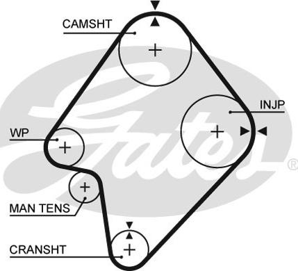 Gates 5300XS - Timing Belt www.parts5.com