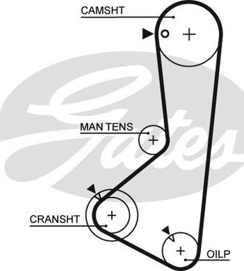 Gates 5372XS - Triger kayışı www.parts5.com