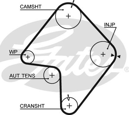 Gates 5355XS - Timing Belt www.parts5.com