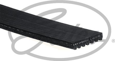 Gates 7PK1855 - V-Ribbed Belt www.parts5.com