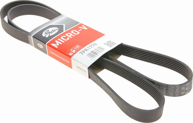 Gates 7PK1770 - Kanallı V kayışı www.parts5.com