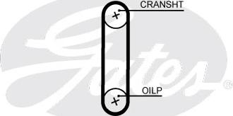 Gates T351HOB - Timing Belt www.parts5.com
