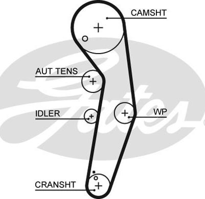 Gates K025569XS - Timing Belt Set www.parts5.com