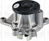 Graf PA1136 - Pumpa za vodu www.parts5.com