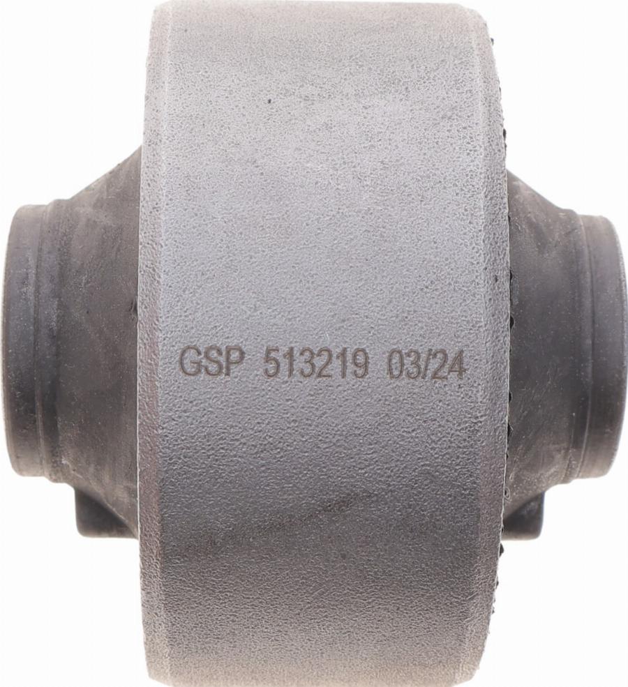 GSP 513219 - Suspensión, Brazo oscilante www.parts5.com