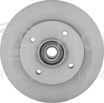 HELLA 8DD 355 123-291 - Zavorni kolut www.parts5.com