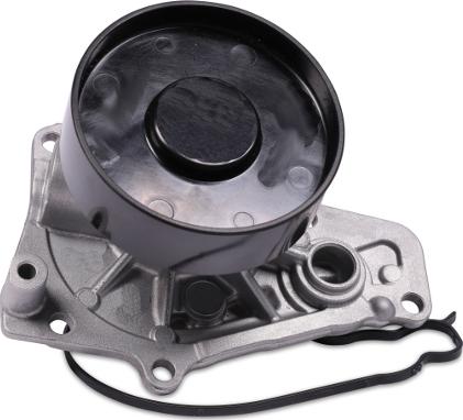 Hepu P442 - Water Pump www.parts5.com