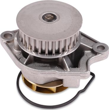 Hepu P541 - Water Pump www.parts5.com