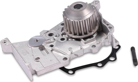 Hepu P842 - Water Pump www.parts5.com