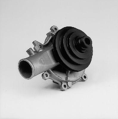Hepu P311 - Water Pump www.parts5.com