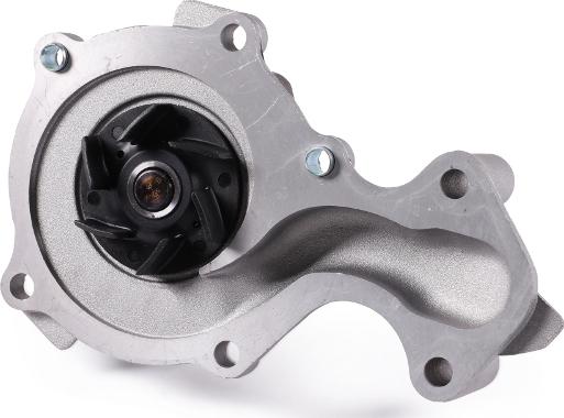 Hepu P261 - Water Pump parts5.com