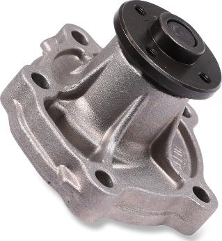 Hepu P7521 - Water Pump www.parts5.com