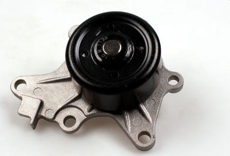 Hepu P7670 - Water Pump www.parts5.com