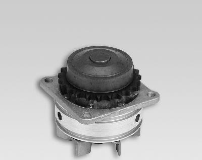 Hepu P737 - Water Pump parts5.com