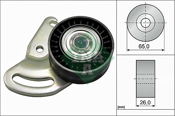 INA 531 0591 30 - Skretni / vodeći valjak, klinasti rebrasti remen www.parts5.com