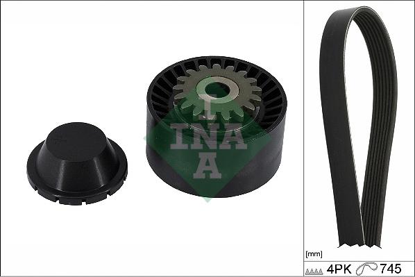 INA 529 0408 10 - Set curea transmisie cu caneluri www.parts5.com