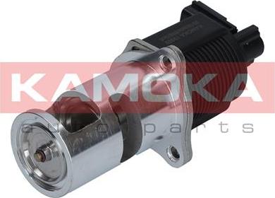 Kamoka 19009 - Zawór AGR www.parts5.com