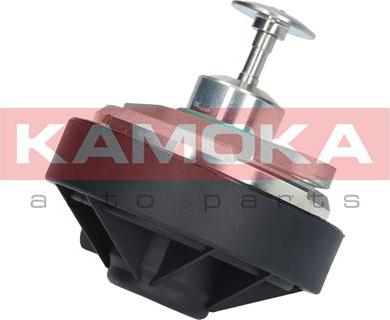 Kamoka 19011 - EGR Valve www.parts5.com