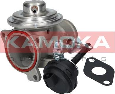 Kamoka 19024 - EGR Valve www.parts5.com