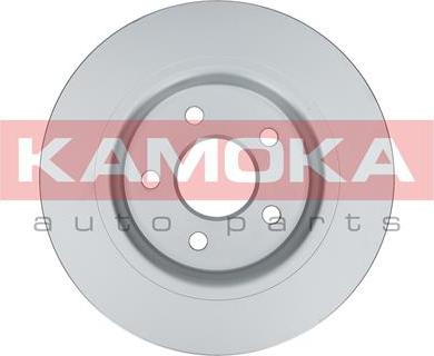 Kamoka 1031006 - Brake Disc www.parts5.com