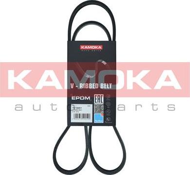 Kamoka 7015051 - Pasek klinowy wielorowkowy www.parts5.com