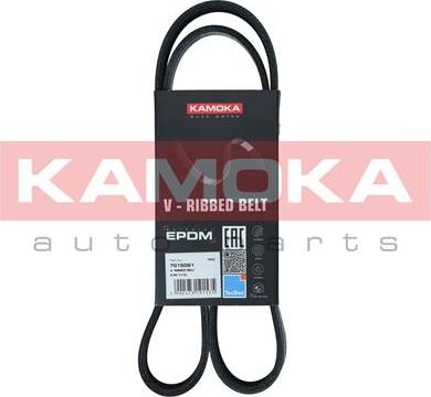 Kamoka 7016061 - Klinasti rebrasti remen www.parts5.com