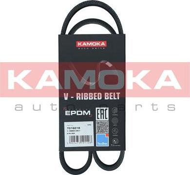 Kamoka 7016018 - Pasek klinowy wielorowkowy www.parts5.com