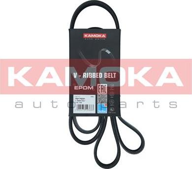 Kamoka 7017031 - Pasek klinowy wielorowkowy www.parts5.com