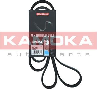 Kamoka 7017038 - Pasek klinowy wielorowkowy www.parts5.com