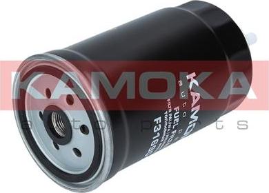 Kamoka F316901 - Fuel filter www.parts5.com