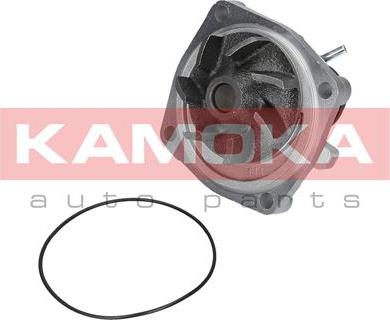 Kamoka T0006 - Bomba de agua www.parts5.com