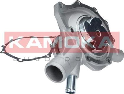 Kamoka T0189 - Water Pump parts5.com