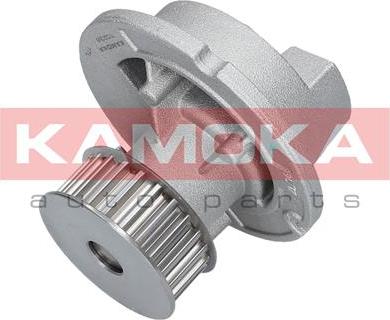 Kamoka T0236 - Water Pump parts5.com