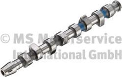 Kolbenschmidt 50006202 - Camshaft parts5.com