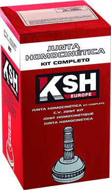 KSH EUROPE 1860.0068010 - Set articulatie, planetara www.parts5.com