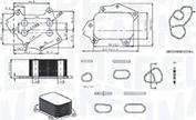 Magneti Marelli 350300002700 - Radiator ulei, ulei motor www.parts5.com