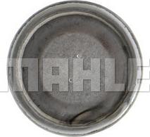 MAHLE AD 159 000P - Susilnik, klimatska naprava www.parts5.com