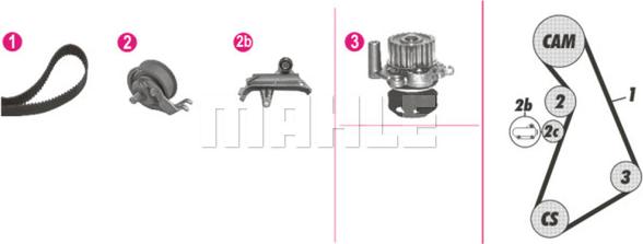 MAHLE CPK 91 000P - Vesipumppu + jakohihnasarja www.parts5.com