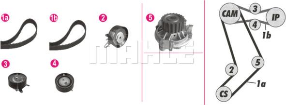 MAHLE CPK 43 000P - Pompe à eau + kit de courroie de distribution www.parts5.com