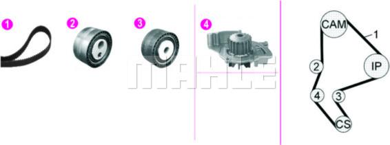 MAHLE CPK 135 000P - Водна помпа+ к-кт ангренажен ремък www.parts5.com