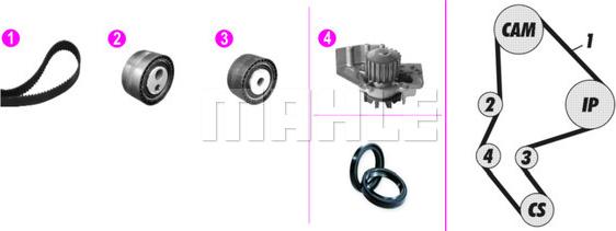 MAHLE CPK 37 000P - Pompa wodna + zestaw paska rozrządu www.parts5.com