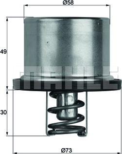 MAHLE TX 37 79 - Thermostat, coolant www.parts5.com