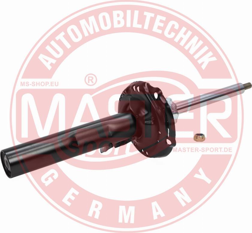 MASTER-SPORT GERMANY 315911-PCS-MS - Amortizer www.parts5.com